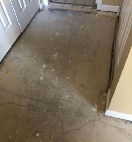 Bedroom Carpet Removed