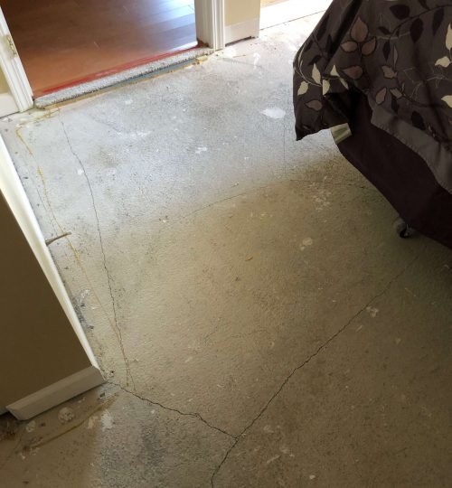 Bedroom Carpet Removed