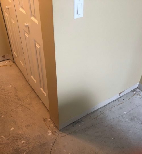 Bedroom Carpet Removed